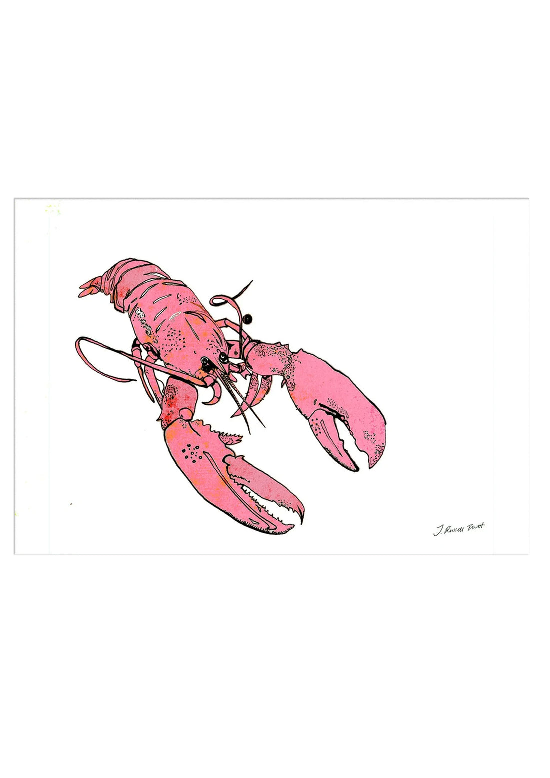 pink lobster for web.jpg